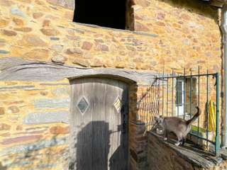 Demeure d'exception 7 pièces