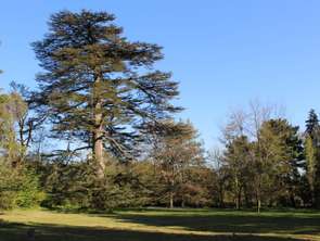 Vente Demeure d'exception 6 chambresLiffré