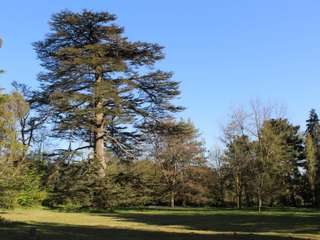 Demeure d'exception 8 pièces