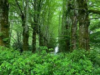 Demeure d'exception 8 pièces