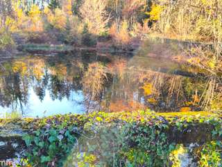 Demeure d'exception 12 pièces