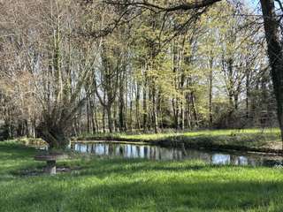 Demeure d'exception 10 pièces