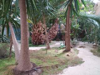 Demeure d'exception 13 pièces