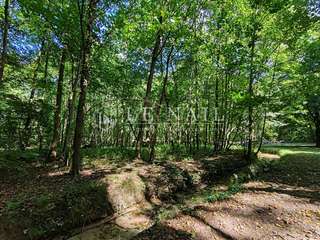 Demeure d'exception 15 pièces