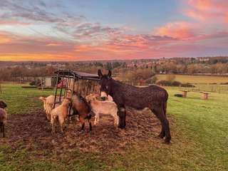 Demeure d'exception 45 pièces