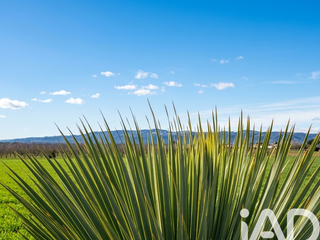 Demeure d'exception 5 pièces