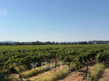 Vente Demeure d'exception 24 chambresMontpellier