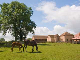 Demeure d'exception 26 pièces