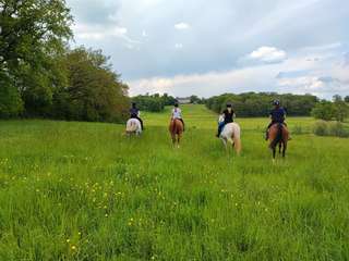 Demeure d'exception 26 pièces