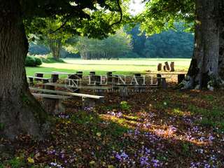 Demeure d'exception 17 pièces