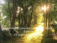 Demeure d'exception 15 pièces