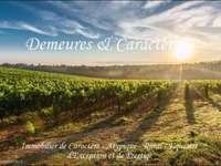 Demeure d'exception 15 pièces