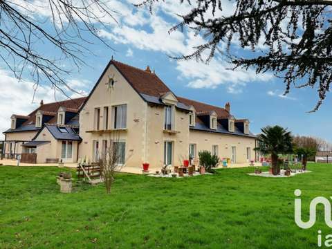 Demeure d'exception 16 pièces Neuillé-Pont-Pierre 37