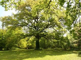 Demeure d'exception 30 pièces