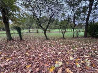 Demeure d'exception 10 pièces