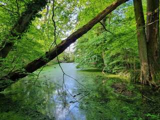 Demeure d'exception 13 pièces