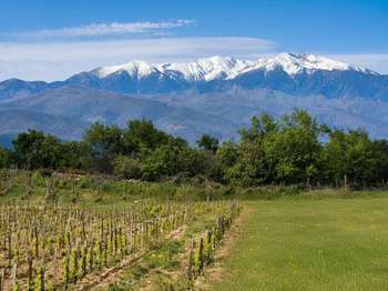 Vente Demeure d'exception 4 chambresPerpignan