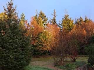 Demeure d'exception 11 pièces