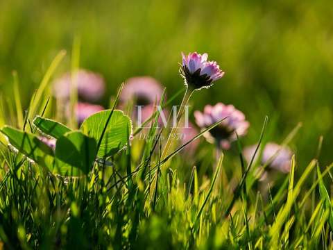 Demeure d'exception Ploemeur 56