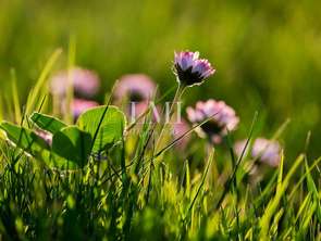 Vente Demeure d'exceptionPloemeur Keraude-Breuzent-Kerabus