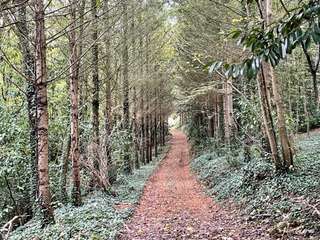 Demeure d'exception 14 pièces