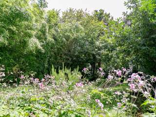 Demeure d'exception 10 pièces