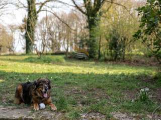 Demeure d'exception 13 pièces