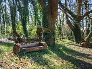 Demeure d'exception 13 pièces