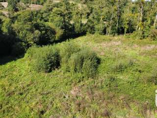 Demeure d'exception 6 pièces