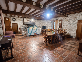 Demeure d'exception 11 pièces