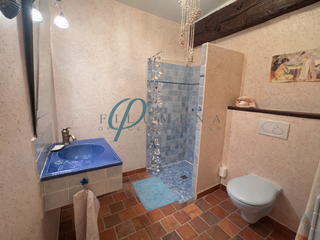 Demeure d'exception 11 pièces