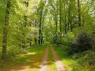 Demeure d'exception 24 pièces