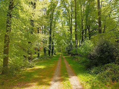 Demeure d'exception 24 pièces