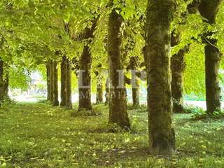 Demeure d'exception 24 pièces