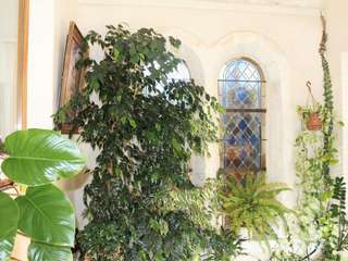 Demeure d'exception 6 pièces