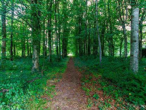 Demeure d'exception 17 pièces