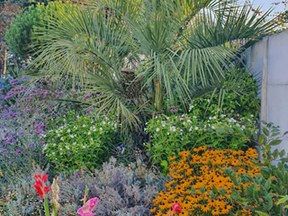 Demeure d'exception 7 pièces