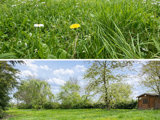 Demeure d'exception 6 pièces