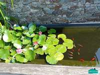 Demeure d'exception 9 pièces