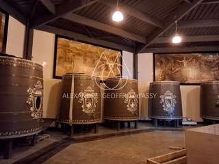 Demeure d'exception 30 pièces