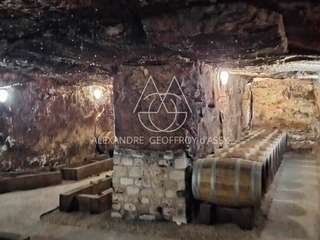 Demeure d'exception 30 pièces