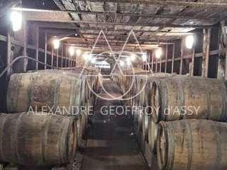 Demeure d'exception 30 pièces