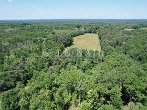 Vente Demeure d'exception 5 piècesSalbris