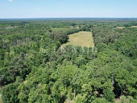 Demeure d'exception 5 pièces Salbris 41