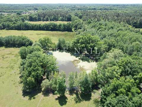 Demeure d'exception 5 pièces