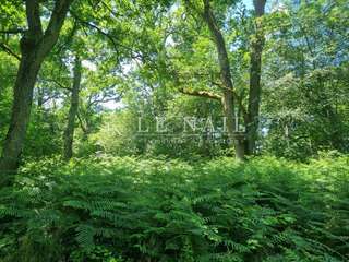 Demeure d'exception 5 pièces