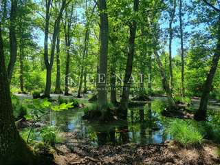 Demeure d'exception 5 pièces