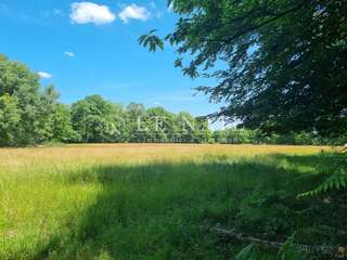 Demeure d'exception 5 pièces