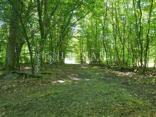 Demeure d'exception 5 pièces