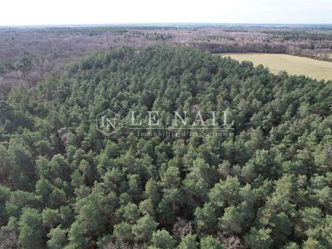 Demeure d'exception 5 pièces